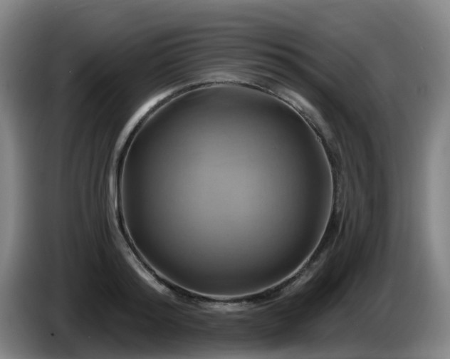 X0000086020796200703301031