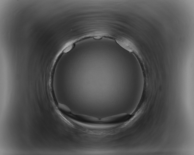 X0000086020797200703301031