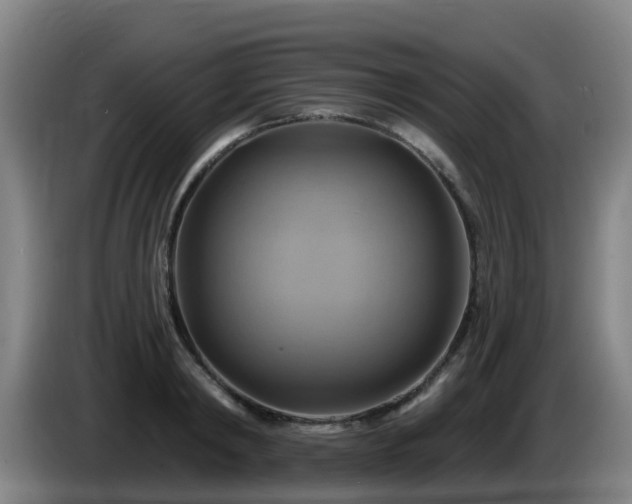 X0000086020798200703301031