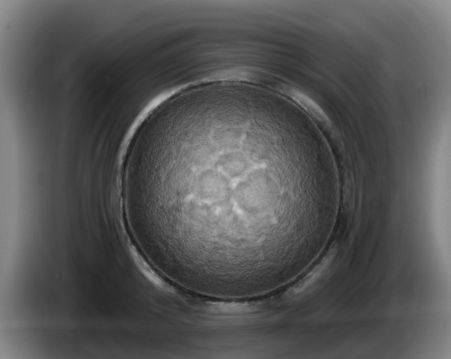 X0000086020800200703301031