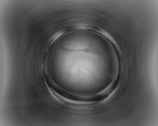 X0000086020801200703301031