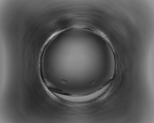 X0000086020803200703301031