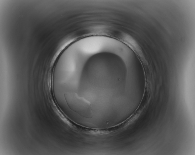 X0000086020804200703301031