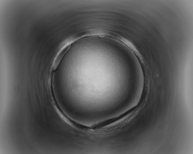 X0000086020805200703301031