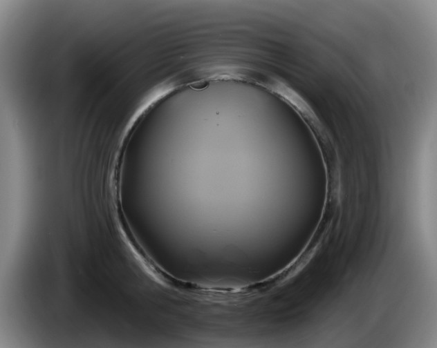 X0000086020806200703301031