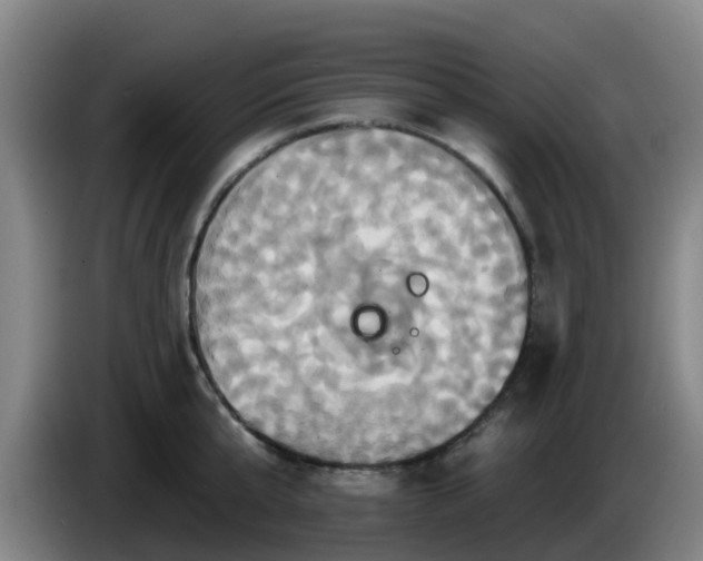 X0000086020807200703301031