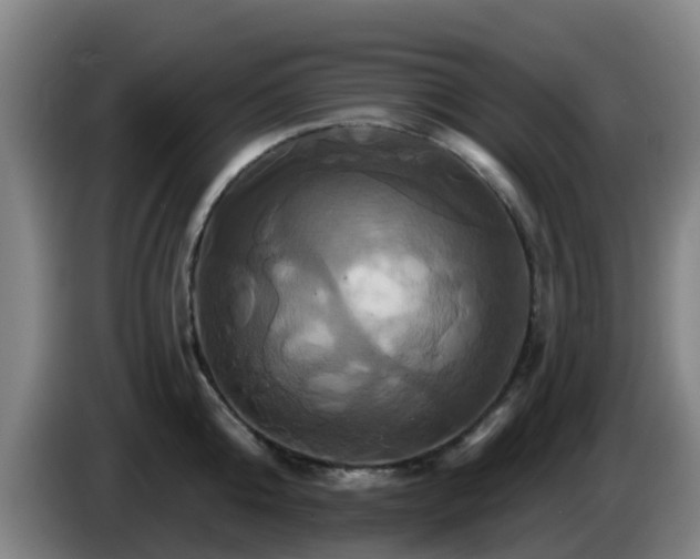 X0000086020808200703301031
