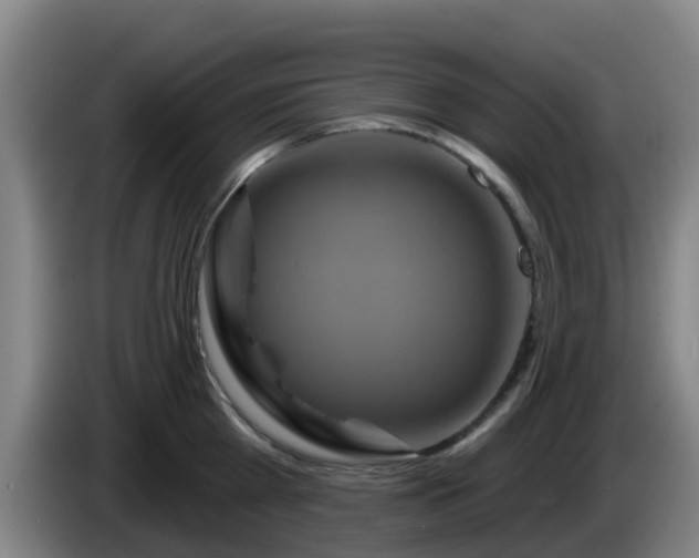 X0000086020809200703301031