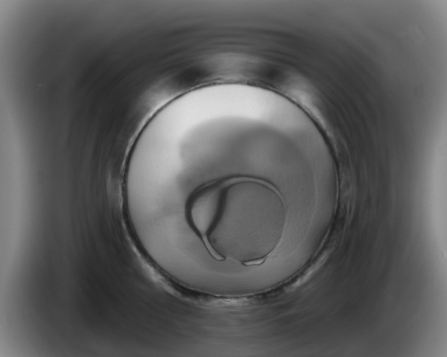 X0000086020810200703301031
