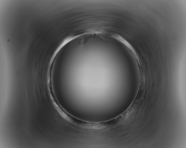 X0000086020811200703301031
