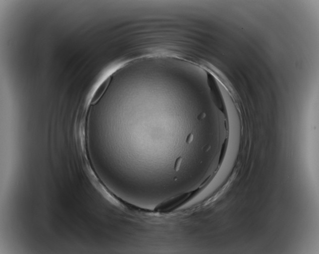 X0000086020812200703301031