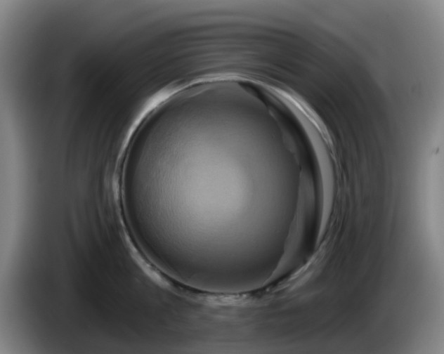 X0000086020813200703301031