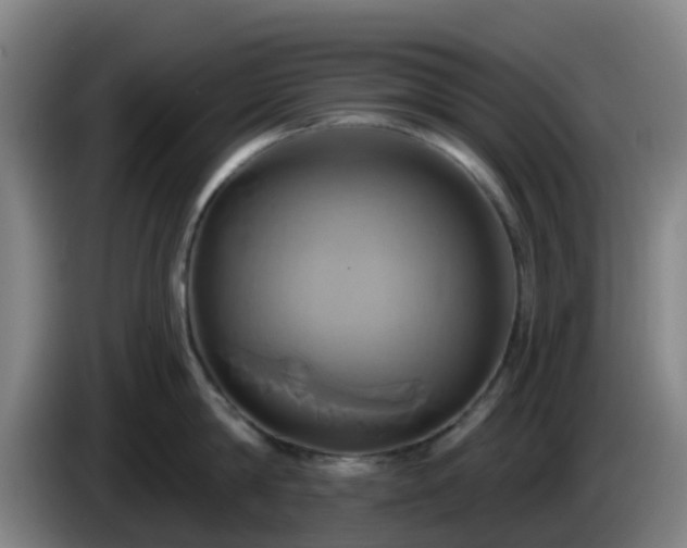 X0000086020814200703301031
