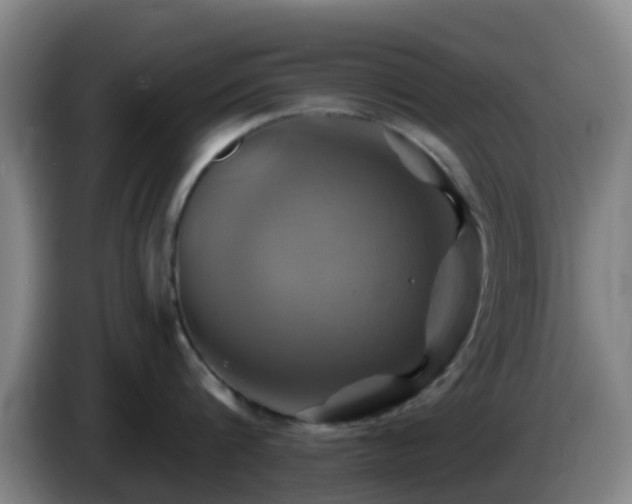 X0000086020816200703301031