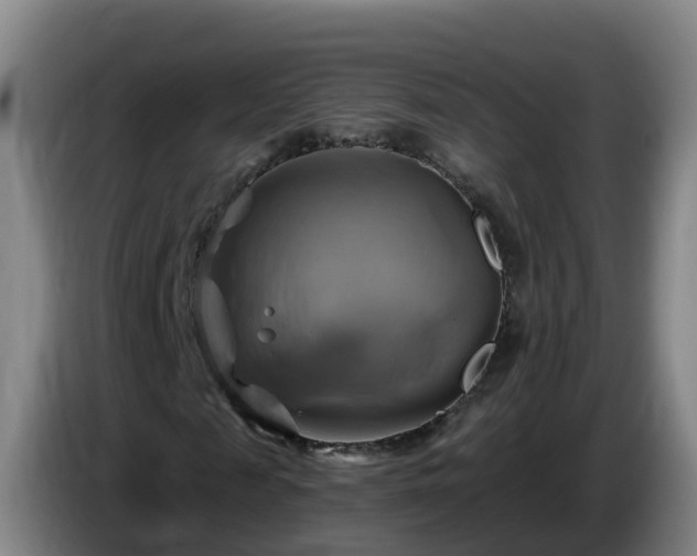 X0000086020817200703301030
