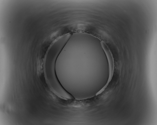 X0000086020818200703301030
