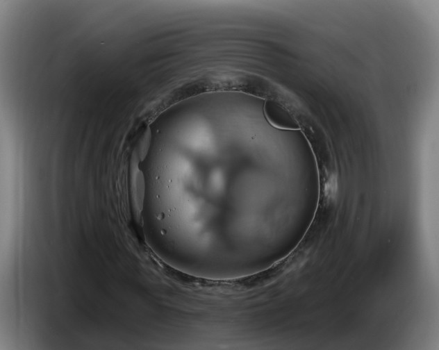X0000086020819200703301030