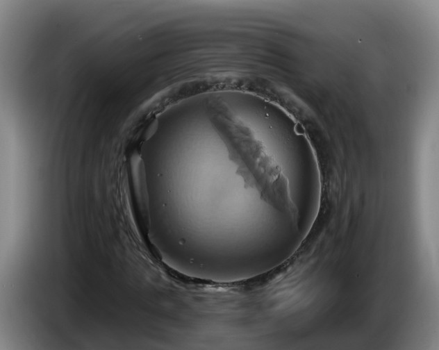 X0000086020821200703301030