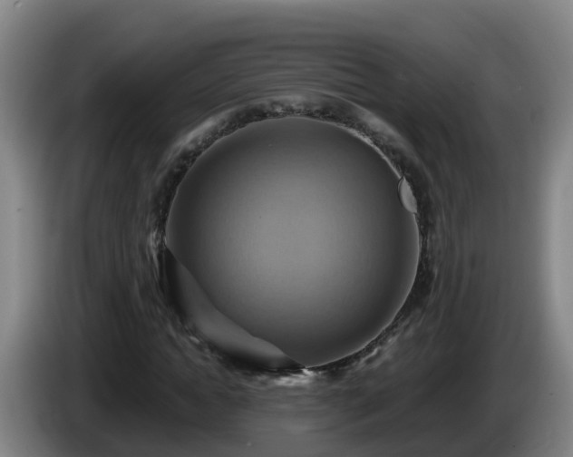 X0000086020822200703301030