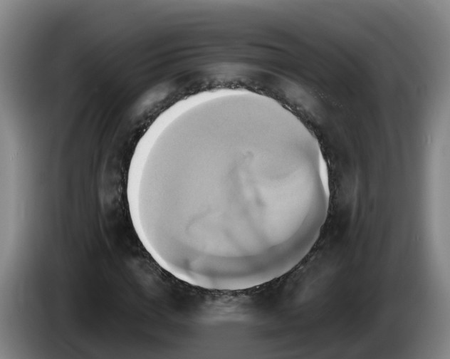 X0000086020824200703301030