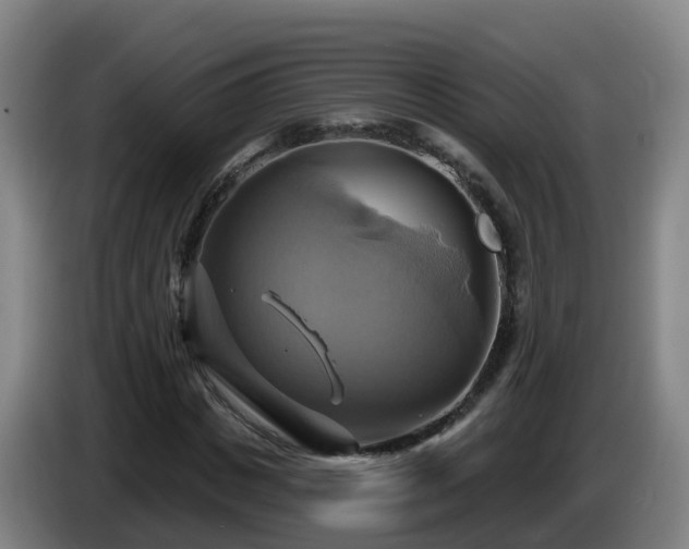 X0000086020825200703301030
