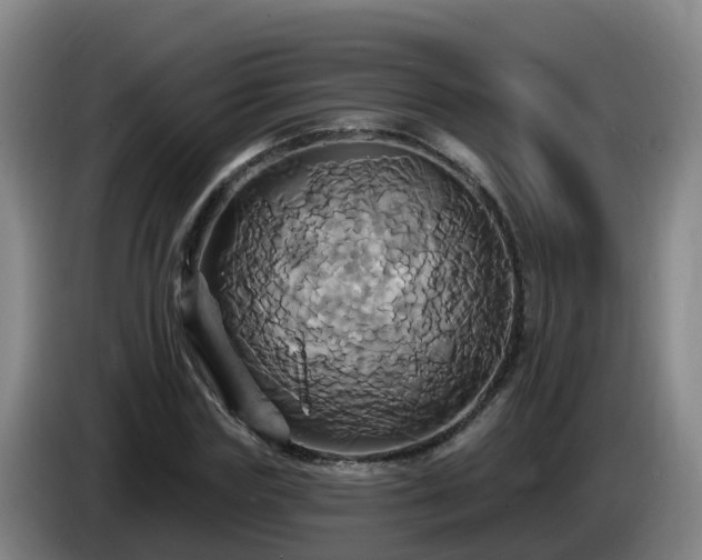 X0000086020827200703301030
