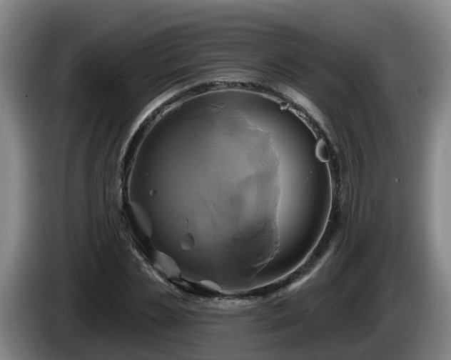 X0000086020829200703301030