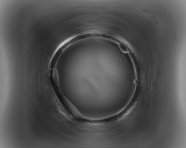X0000086020830200703301030