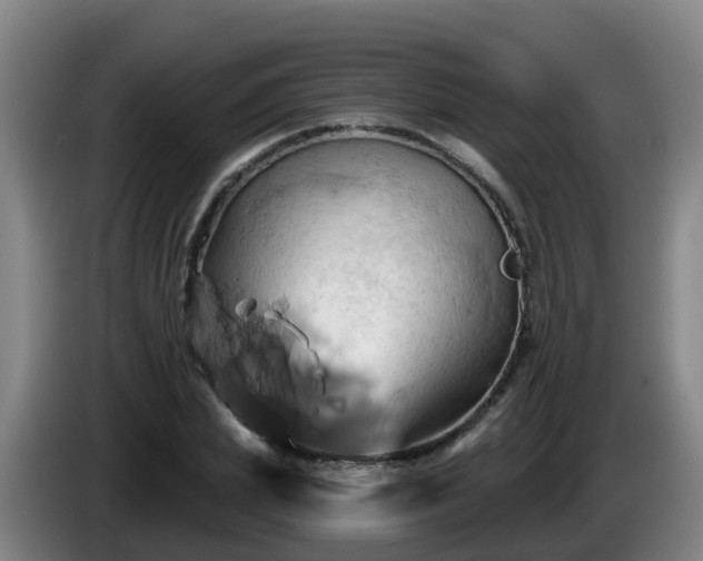 X0000086020831200703301030
