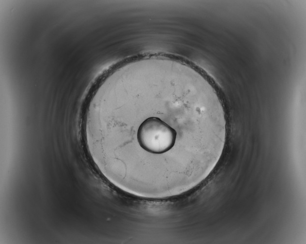 X0000086020832200703301030