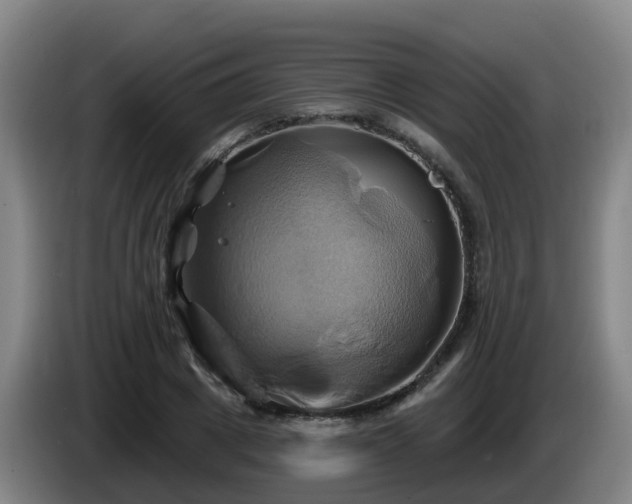 X0000086020833200703301030