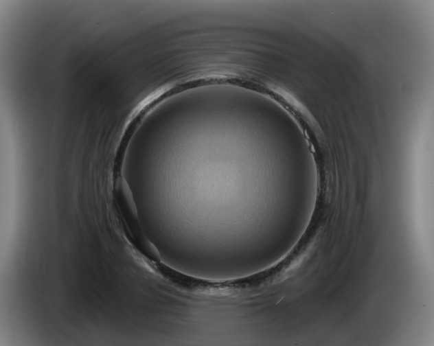 X0000086020834200703301030