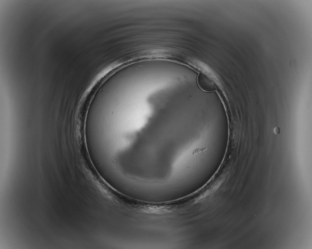 X0000086020835200703301030