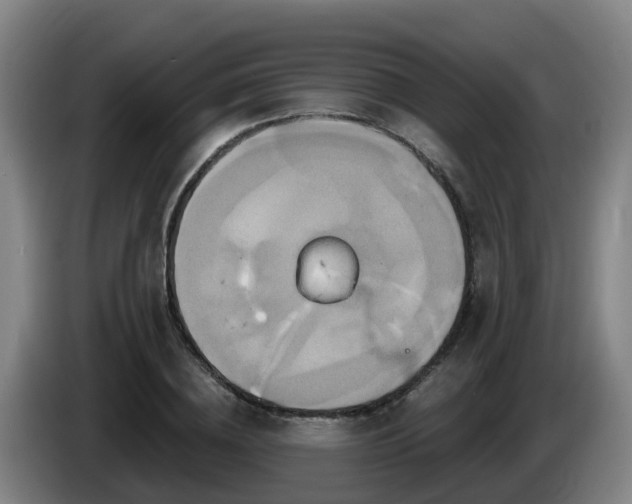 X0000086020836200703301030