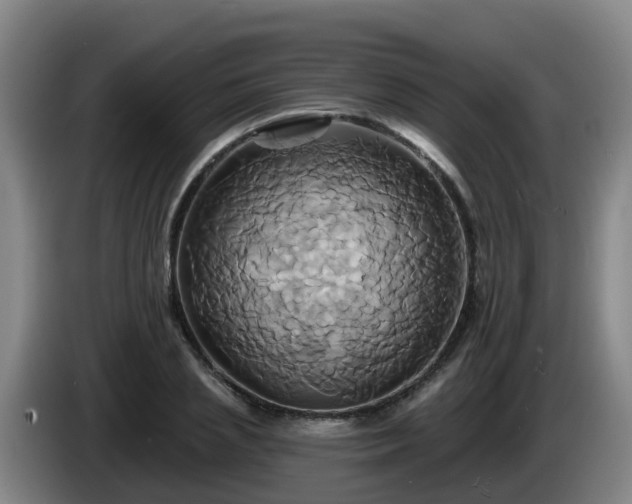 X0000086020837200703301030
