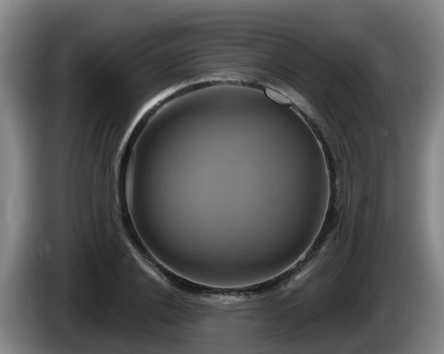 X0000086020838200703301030