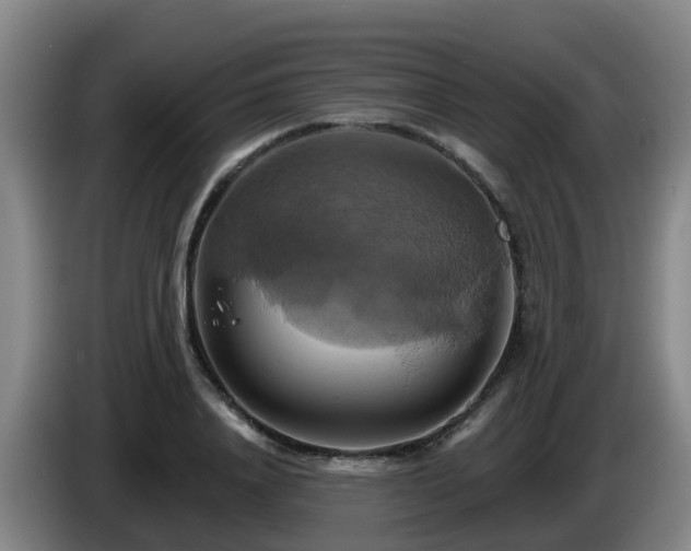 X0000086020840200703301030