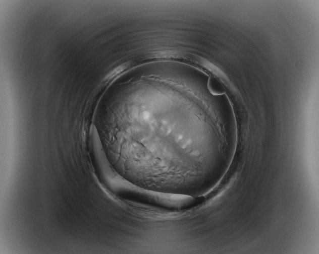 X0000086020841200703301030