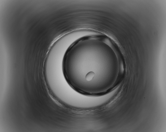 X0000086020842200703301030