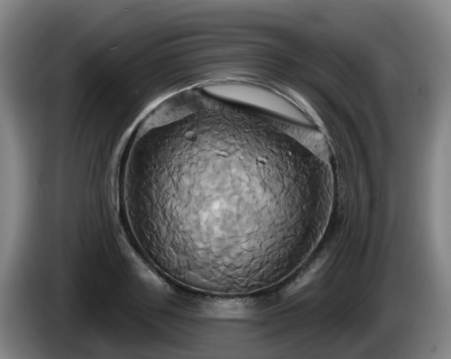 X0000086020843200703301030