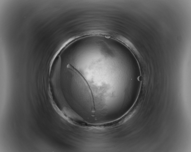 X0000086020844200703301030