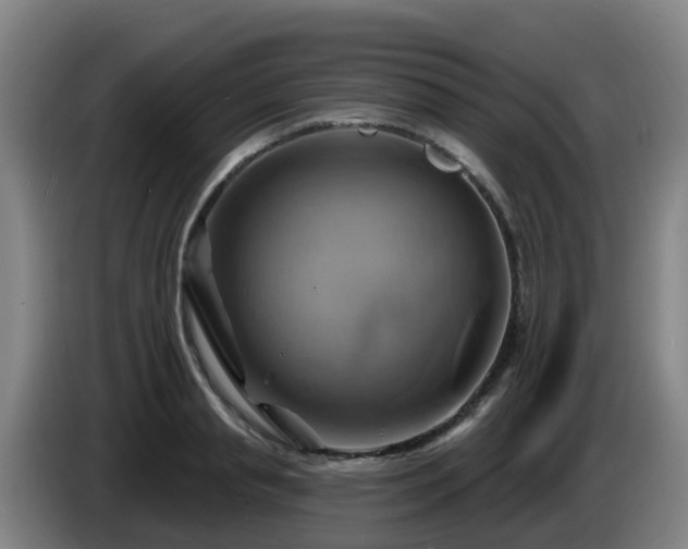 X0000086020845200703301030