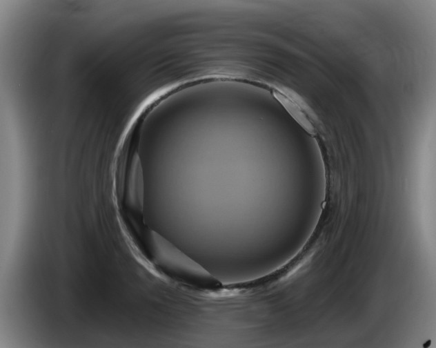 X0000086020846200703301030