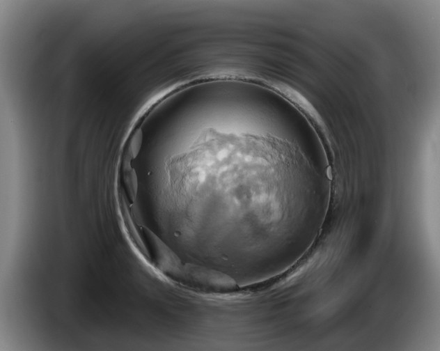 X0000086020847200703301031