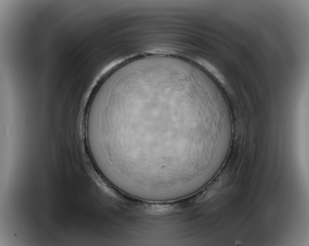 X0000086020848200703301031