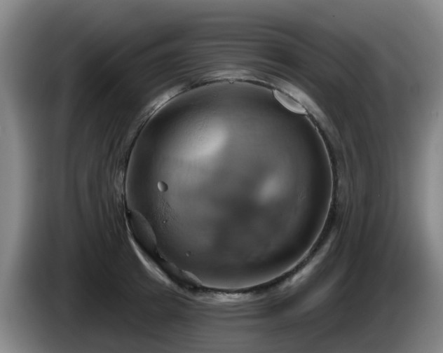 X0000086020849200703301031