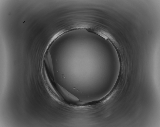 X0000086020850200703301031