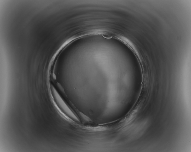 X0000086020851200703301031