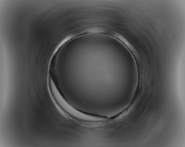 X0000086020853200703301031