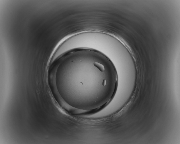 X0000086020854200703301031